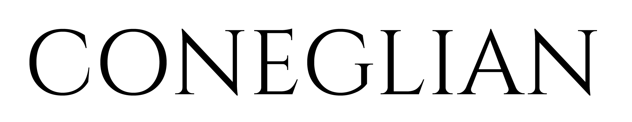 Coneglian Webdesign